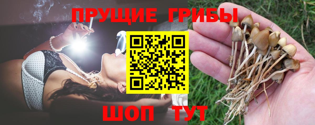 Мурино  Галлюциногенные грибы ЛСД  Вход с VPN 